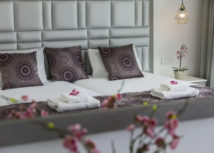 Tsokkos Otel