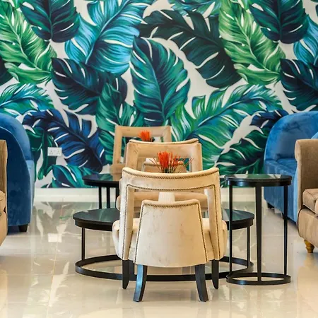 Ξενοδοχείο Tsokkos 4*