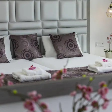 Tsokkos פרוטאראס